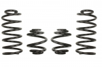 Žeminanti spyruoklė, Pro-Kit, 4vnt., pažeminimas priekis: 25mm, pažeminimas galas: 25mm,, Tinka: AUDI TT 1.8 T quattro 10.98-06.06