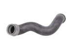 radiatoriaus žarna THERMOTEC DWM024TT