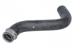 radiatoriaus žarna THERMOTEC DWM025TT