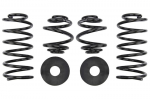Žeminanti spyruoklė, Pro-Kit, 4vnt., pažeminimas priekis: 30mm, pažeminimas galas: 30mm,, Tinka: VW BORA, BORA I, GOLF IV 1.9 TDI 4motion/2.3 V5 4motion/2.8 V6 4motion/2.8 VR6 4motion 07.98-06.06