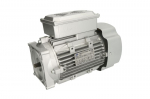 Elektrinis variklis EVERT EVERTZL320201002