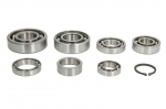 Pavaros rem. kompl. Tinka: HUSQVARNA 250, 300; KTM 250, 300