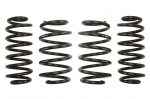 Žeminanti spyruoklė, Pro-Kit, 4vnt., ABE, pažeminimas priekis: 25mm, pažeminimas galas: 20mm,, Tinka: VW CC B7, PASSAT B6 2.0 BlueTDI/2.0 TDI/2.0 TFSI/2.0 TSI 02.08-12.16