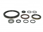 tarpiklių komplektas, neautomatinė pavarų dėžė 1315298002ZF