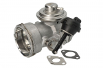 EGR vožtuvas BORG WARNER WA7649D