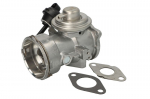 EGR vožtuvas BORG WARNER WA7650D