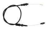 Akseleratoriaus lynas LCCP 07297