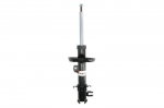 Amortizatorius AGF089MT