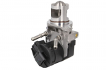 EGR vožtuvas BORG WARNER WA710327D/1