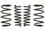 Žeminanti spyruoklė, Pro-Kit, 4vnt., pažeminimas priekis: 30mm, pažeminimas galas: 30mm,, Tinka: BMW X3 (F25), X4 (F26) M 40 i/xDrive 30 d/xDrive 35 d/xDrive 35 i 09.10-03.18