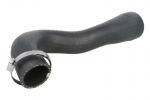 radiatoriaus žarna THERMOTEC DCX075TT