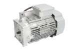 Elektrinis variklis EVERT EVERTZL320204017