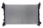 Variklio radiatorius NRF NRF 53935