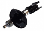 Amortizatorius AH3009MT