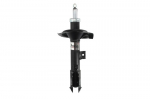 Amortizatorius AG5060MT