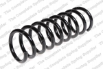 Pakabos spyruoklė LS4255455