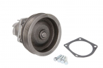 Au&scaron;inimo skysčio siurblys MAGNETI MARELLI 352316170287