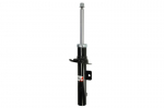 Amortizatorius AGP047MT