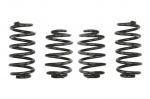 Žeminanti spyruoklė, Pro-Kit, 4vnt., pažeminimas priekis: 30mm, pažeminimas galas: 30mm,, Tinka: VW PASSAT B5.5 1.8 T 20V/1.9 TDI/2.0 TDI/2.3 VR5 11.00-05.05