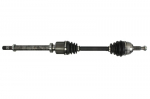 pusa&scaron;is PASCAL G2R110PC
