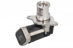 EGR vožtuvas BORG WARNER WA7353D
