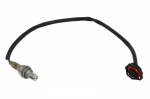 Deguonies jutiklis MAGNETI MARELLI 466016355015