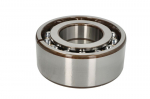 guolis SKF BA2B 309894 C /SKF/