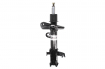 Amortizatorius AG4043MT