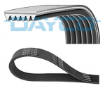 V formos rumbuoti diržai DAYCO DAY6PK1550S