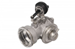 EGR vožtuvas BORG WARNER WA7451D