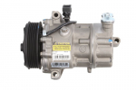 Kondicionieriaus kompresorius 10-0955