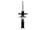 Amortizatorius AGR149MT