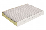 Salono filtras MANN-FILTER FP 25 003