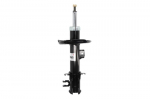 Amortizatorius AGF105MT