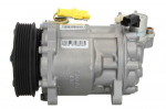 Kondicionieriaus kompresorius 10-1222