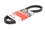 V formos rumbuoti diržai GATES GAT5PK1113