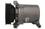Kondicionieriaus kompresorius 10-0971