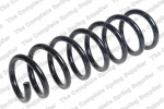 Pakabos spyruoklė LS4008500