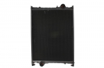 Variklio radiatorius THERMOTEC D7AG035TT