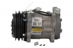 Kondicionieriaus kompresorius 10-0976