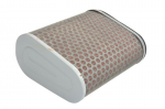 Oro filtras HIFLO HFA1927