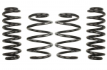 &Aring;&frac12;eminanti spyruokl&Auml;, Pro-Kit, 4vnt., pa&Aring;&frac34;eminimas priekis: 30-35mm, pa&Aring;&frac34;eminimas galas: 30-35mm, tr. priemon&Auml;s be sistemos NIVO,, Tinka: SEAT TARRACO 2.0 RS 4x4/2.0 RS Bi-TDI 4x4/2.0 TDI/2.0 TDI 4Drive/