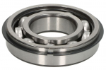 guolis TIMKEN 6207-NR /TIMKEN/