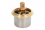 termostatas, au&scaron;inimo skystis DT SPARE PARTS 6.30309