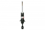 Amortizatorius AG1075MT