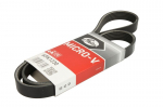 V formos rumbuoti diržai GATES GAT6PK1230
