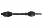 pusa&scaron;is POINT GEAR PNG75646