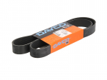 V formos rumbuoti diržai DAYCO DAY8PK1255HD