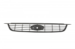 Radiatorius grotelės 6502-07-2533992P