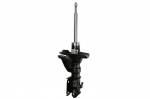 Amortizatorius 313 600